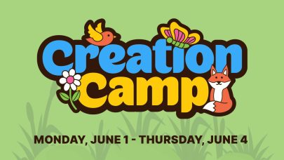 Creation Camp