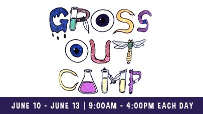 Gross Out Camp